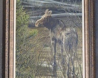 Who's watching, Original Oil Painting of calf moose.