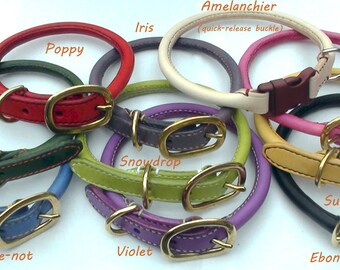 Rolled leather poodle dog collar