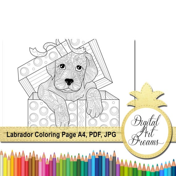 Labrador Retriever Coloring Page Dog Colouring Page