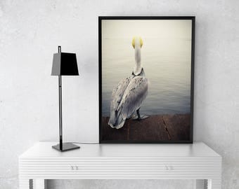Pelican Print, Wall Art, Photo Art, Nature Wall Art, Home Decor, Living Room Art, Photography Art, Nursery Decor, Bedroom Decor, Wall Decor