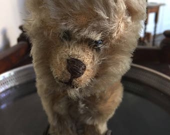 Antique Bear on Wheels