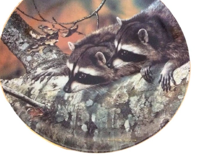 Raccoon Woodland Creatures, Rustic Wall Decor, Vintage Wall Decor, Housewarming Gift, Carl Brenders Raccoons, Our Woodland Friends