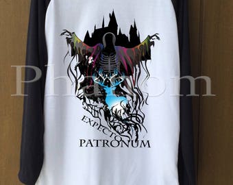 Harry Potter T-shirts, Harry Potter Sweatshirt, Festival Clothing, Holiday T-Shirts, Women tshirts, women shirts, Men's t shirts, men shirts