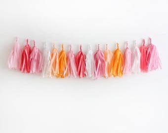 Peaches and Cream Tissue Tassel Garland Kit - Pink, orange