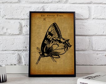Butterfly Vintage poster, Butterfly Insect wall art, Butterfly wall decor, Butterfly Vintage print