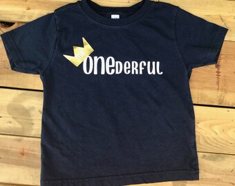 Mr.ONEderful boys tshirt, birthday shirt, 1st birthday, first birthday, babys first, little boys shirts