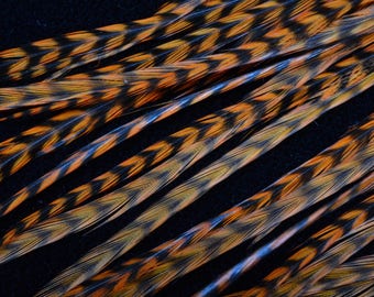 feathers of Rooster feathers hair extension