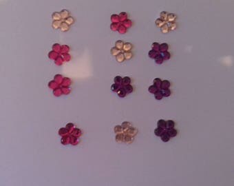 Set of 12 flowers, pink, purple