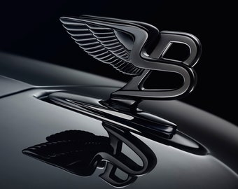 Bentley Logo Etsy