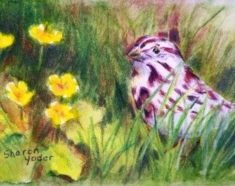 ACEO Original - Watercolor Painting - Buttercups - Wildflower - Bird Painting - Sparrow - Wildlife Art - Artist Trading Card - Original ACEO