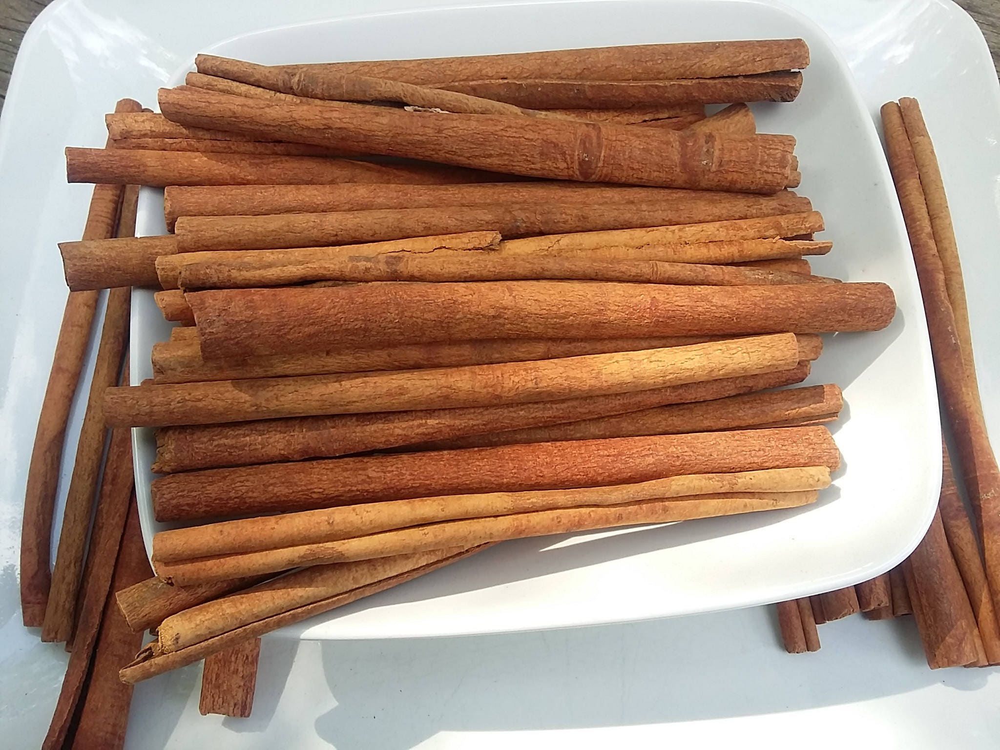 10 10 inch Dried Cinnamon Sticks Organic Bulk