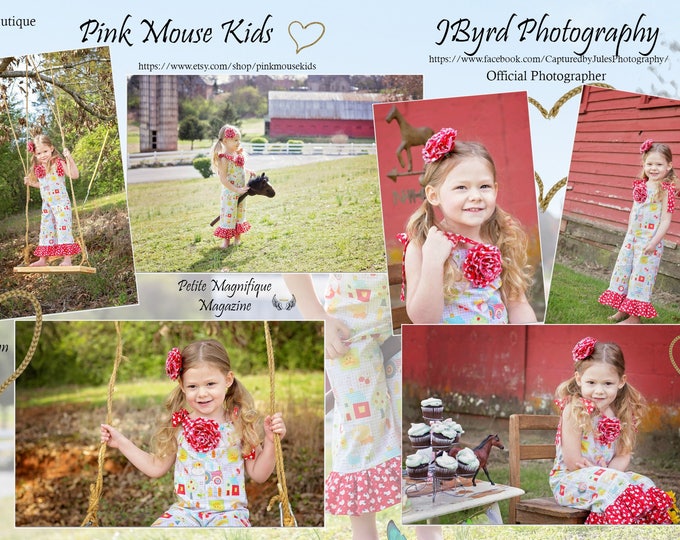 Pink Farm Party - Barnyard Birthday - Farm Party - Barnyard Bash - Personalized Dress - Toddler Girl Clothes - Birthday Dress - 6 mo/8 yrs