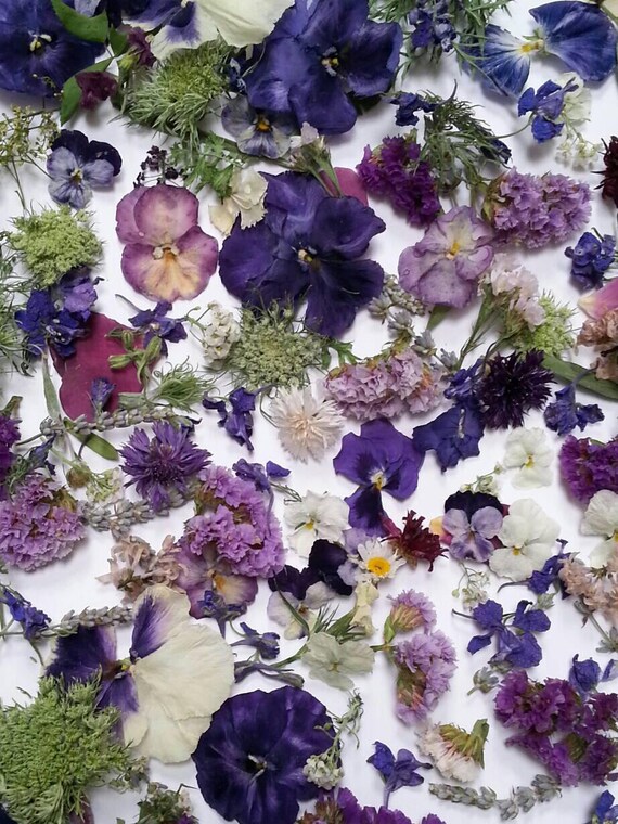 confetti petals bulk