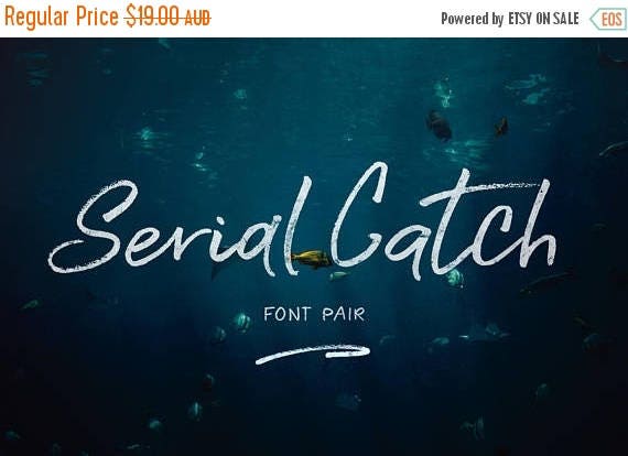 Digital Fonts 80% Off SALE Serial Catch Brush Script Font, Digital Font, Wedding Font, modern Calligraphy, Hand Writing, Logo