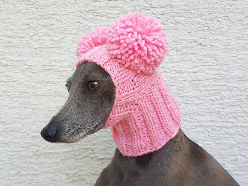 Italian Greyhound Hat / Italian Greyhound PomPom Hat