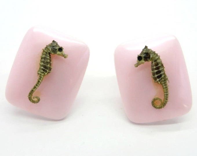 Pink Thermoset Earrings, Vintage Seahorse Earrings, Pastel Screwback Earrings, Summer Jewelry, Gift for Her