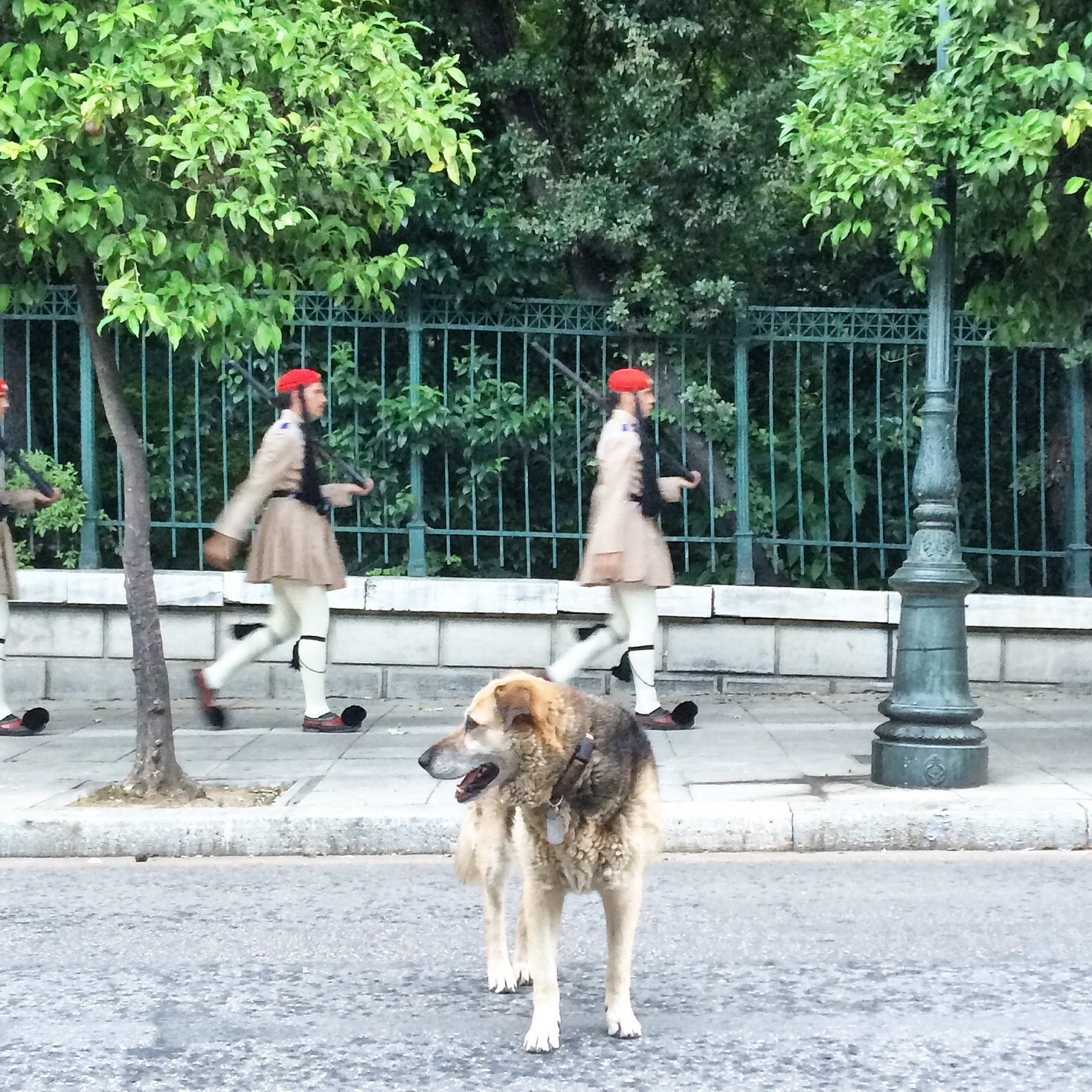 City Guards