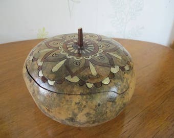 box squash gourd type flat Corsica 15 original