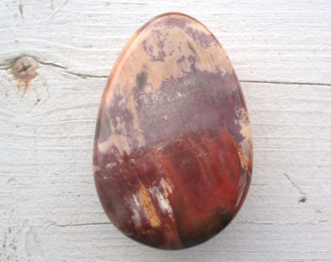 Polished Petrified Wood ,palm stone, display specimen, 63g, 2.2 oz, over 2 inches, metaphysical, salicified, fossil wood, meditation, decor