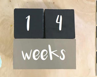 Baby Milestone Blocks