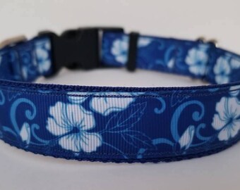 Vibrant blue with white hibiscus flower