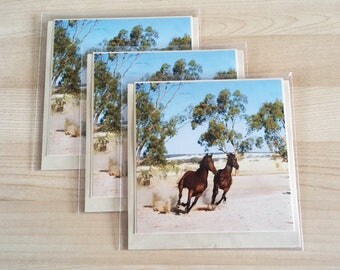 Pack of 3 Greeting Card country Horses Running cards photo 5 x5 inch in size, blank inside