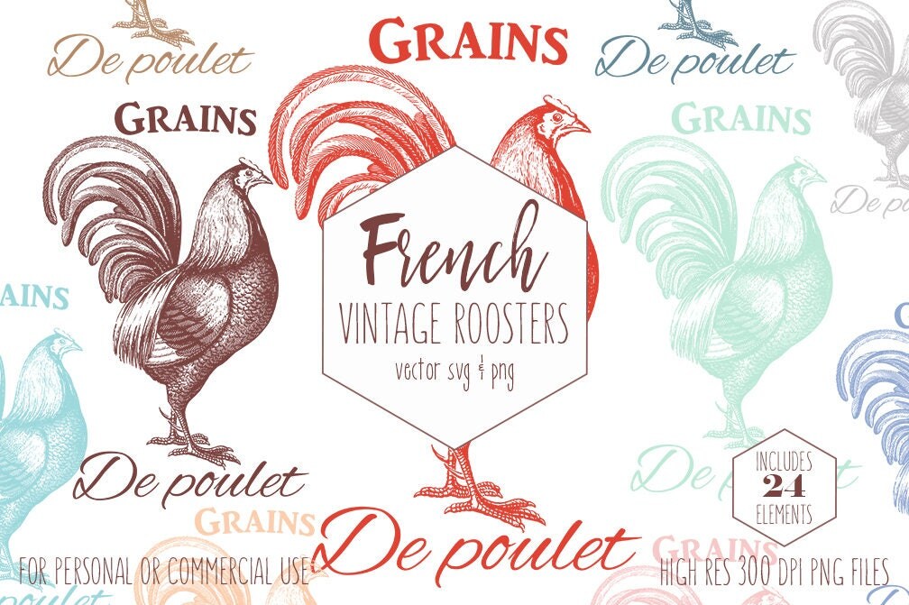 FRENCH ROOSTER CLIPART For Commercial Use Rustic Farm Animal Clip Art Chicken Feed Grain Sack Vintage Rooster Vector Digital Graphics FRENCH ROOSTER CLIPART For Commercial Use Rustic Farm Animal Clip Art Chicken Feed Grain Sack Vintage Rooster Vector Digital Graphics