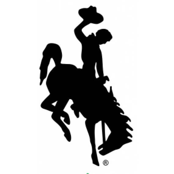 GlitterSteamboat Decals Wyoming bucking horse UW cowboys