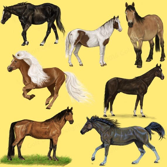 Horse Clipart Horse Clip Art Clipart Horse Clip Art Horse