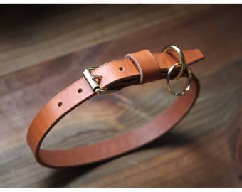 3/4" wide Leather dog collar with brass buckle (free name stamping!)