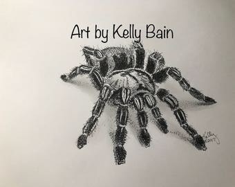 Boris the spider