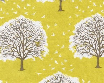 coupon PATCHWORK MODERN MEADOW JOEL DEWBERRY