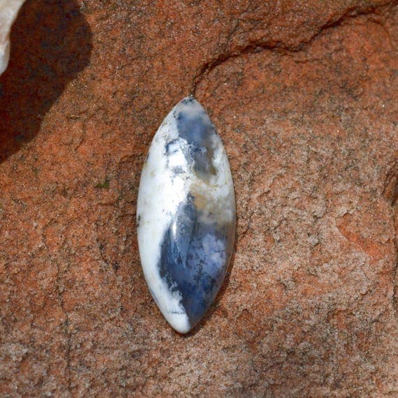 adult dendrite opal