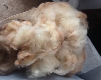 Pure Kerry raw fleece wool 700g
