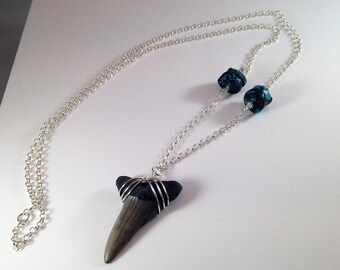 Fossilized Shark Tooth Necklace with Rough Turquoise and Sterling Silver Chain