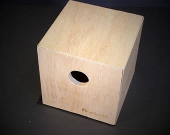 Cabane d'oiseau nichoir en bois Fr•ebird Cub•e pour hirondelles/ assemblage magnétique