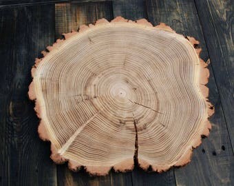 15 ACACIA Wooden SliceWood Cake Stand Rustic Baby Shower Decoration Wood 15 ACACIA Wooden SliceWood Cake Stand Rustic Baby Shower Decoration Wood