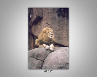 03.217 Limited Edition, Signed and Numbered 8x10 Image