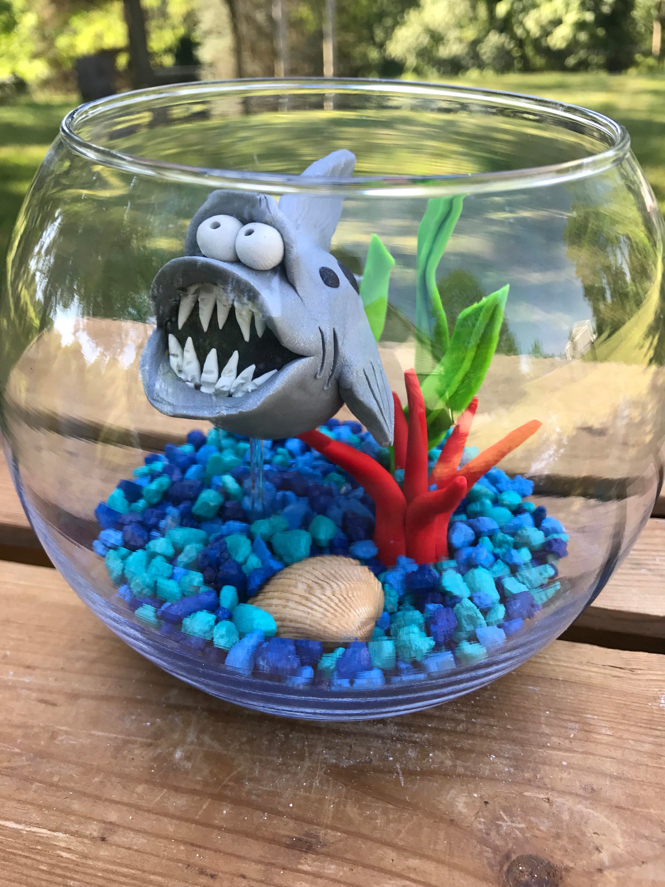 Shark Fish Bowl Shark Tank Shark in Bowl Pet Fish Large