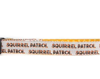 Squirrel dog collar, fall dog collar for boys, squirrel patrol, orange dog collar, autumn dog collar for girls, nature dog collar