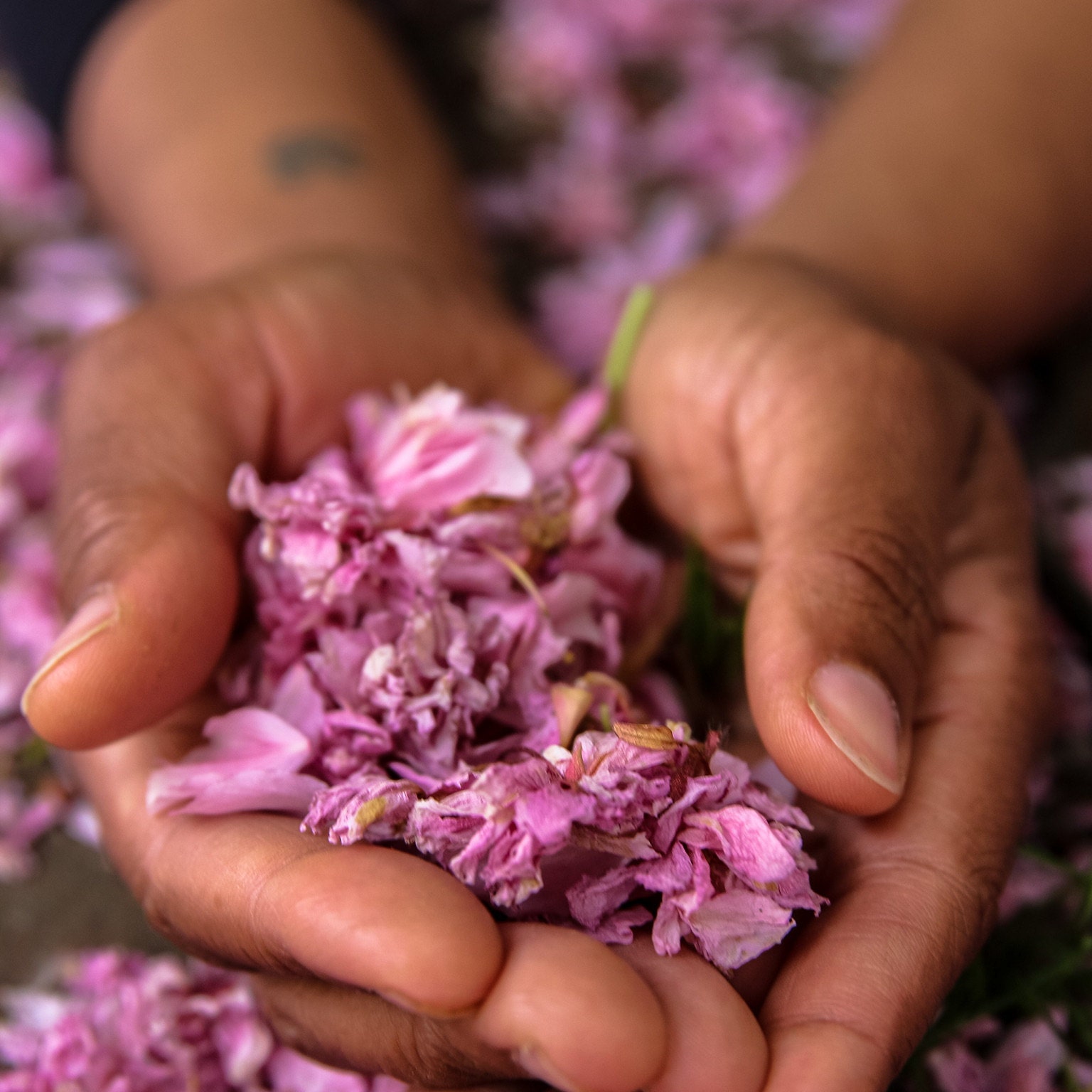 Ayurvedic. Organic. Botanical by GigiandBo on Etsy