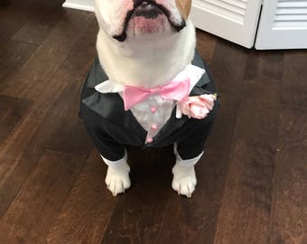 Dog Tuxedo, look how handsome Maverick looks in his tux, he is going to look so cool walking down the isle with his human mummy