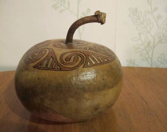 box squash gourd type flat Corsica 5 original