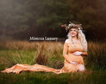 Maternity Gown Photography, Long Sleeves Maternity Dress, Maternity Photography Prop, Pregnancy dress, maternity photo prop, long sleeve
