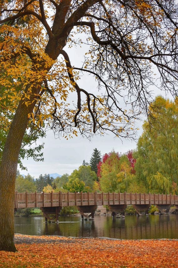 Fall Tree Bend Oregon
