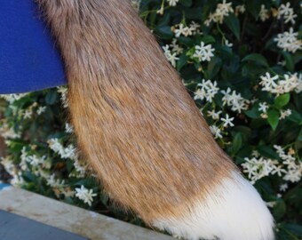 Short Tipped Nutty Fox Tail
