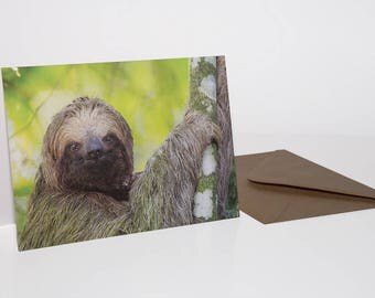 Sloth Greetings Card, Three-toed Sloth Card, Wildlife Greetings Card, Nature Greetings Card