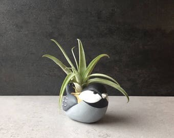 Chickadee, Mini Animal Planter, Air Plant Holder, Cute Desk Accessories, Home Office Decor, Cubicle Decor, Housewarming Gifts, Animal Totem