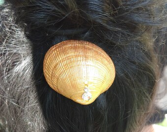 Golden Hair Clip