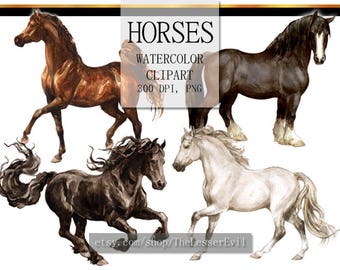 Horse Clipart, Digital Watercolor Illustration, Animal Clip Art, Hand-painted, Realistic Horses Stock Illustration, Commercial use